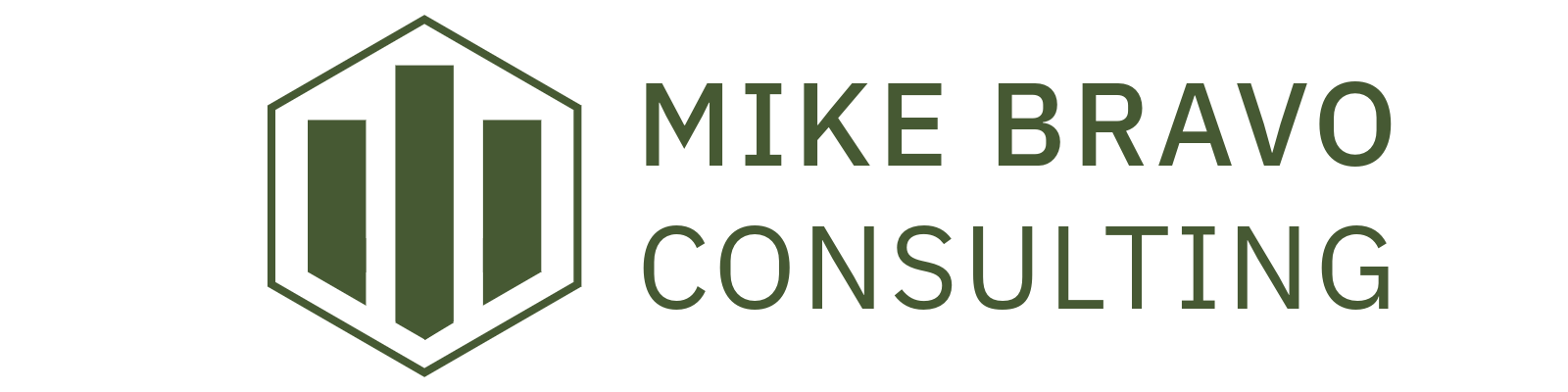 Mike Bravo Consulting